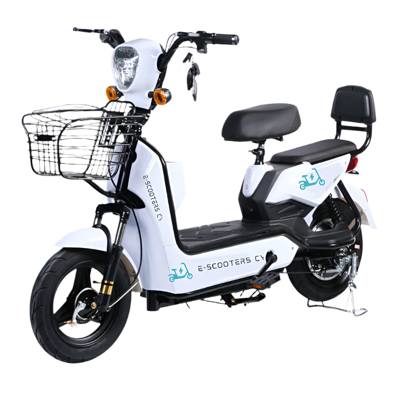 "eScootercy" CITY delivery e-bike